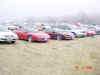DSC00168.JPG (905340 byte)